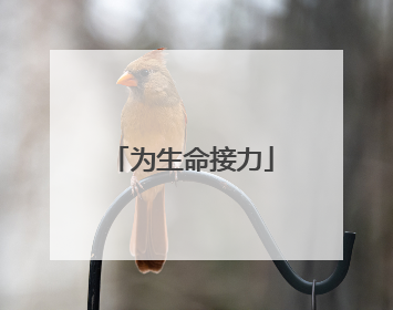 为生命接力